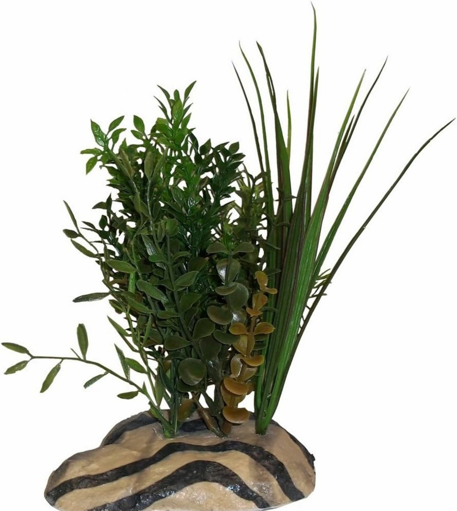 Reptiles & Amphibian Rock Garden | Rock Garden 8\" Natural Green Plant With Decorative Resin Base, Large