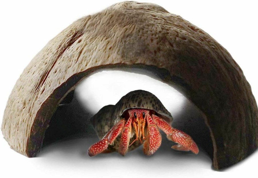 Reptiles & Amphibian SunGrow | Sungrow Hermit Crab Huts, 5X3 Inches, Arthropod'S Coconut Hide, Spacious Coco Tunnel, Use As Hermit Cave Or Climber, 1-Pc