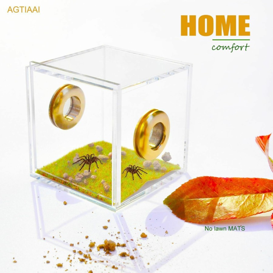 Reptiles & Amphibian AGTIAAI | Jumping Spider Enclosure, Tarantula Enclosure Spider Terrarium Snail Terrarium Jumping Spider Habitat Spider Cage Acrylic Reptile Breeding Box Jumping Spider Enclosure With Dropper Tongs (A)