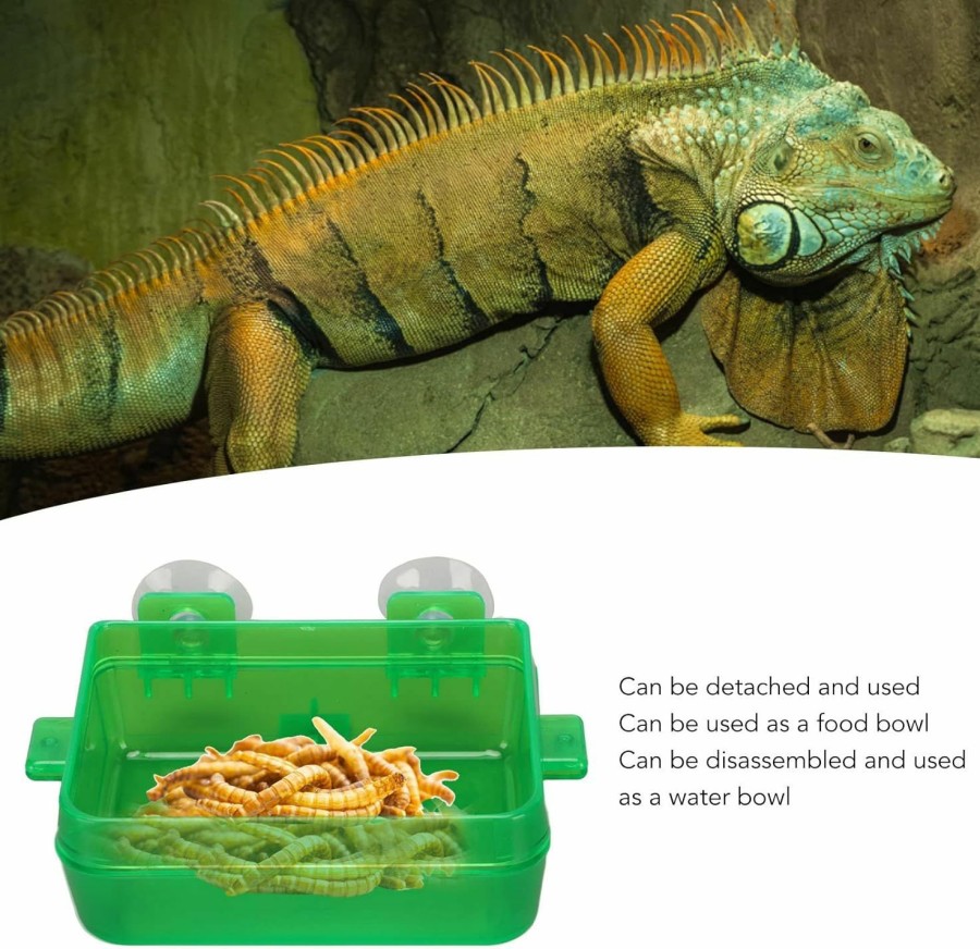 Reptiles & Amphibian Zerodis | Zerodis Suction Cup Reptile Feeder, Green Wall Reptile Feeder Gecko Lizard Escape Proof Food Water Bowl (S)