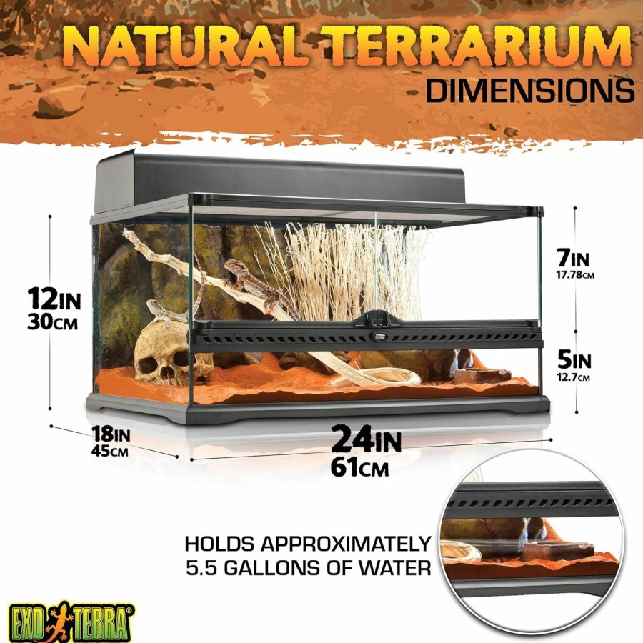 Reptiles & Amphibian Exo Terra | Exo Terra Glass Natural Terrarium Kit, For Reptiles And Amphibians, Short Wide, 24 X 18 X 12 Inches, Pt2604A1