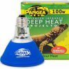 Reptiles & Amphibian Pangea | Pangea Deep Heat Projector For Reptiles (100 Watt)