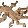 Reptiles & Amphibian Pisces | Pisces 18\" Grapewood Sandblasted Branchy, Varies