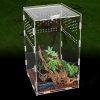 Reptiles & Amphibian FORKPIE | Forkpie Habitat Terrarium Enclosure Reptile Terrarium Acrylic Tank Full View Jumping Spider Tarantula Enclosure, Insects Feeding Tank For Reptiles Mantis Lizard Habitat Snake Gecko(4.7X4.7X7.8Inch)