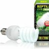 Reptiles & Amphibian Exo Terra | Exo Terra Repti-Glo 5.0 Compact Fluorescent Tropical Reptile Terrarium Lamp, 26-Watt