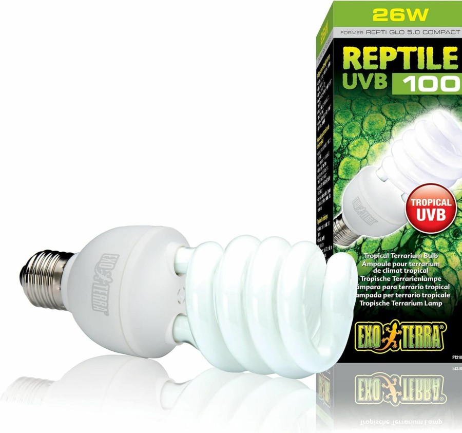 Reptiles & Amphibian Exo Terra | Exo Terra Repti-Glo 5.0 Compact Fluorescent Tropical Reptile Terrarium Lamp, 26-Watt