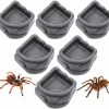 Reptiles & Amphibian DQITJ | 6 Pcs Spider Micro Water Bowl, Small Resin Dish For Tarantula Hermit Crab Spider Millipede Tiny Reptile (Medium: 1.65\" D, 0.59\" H)