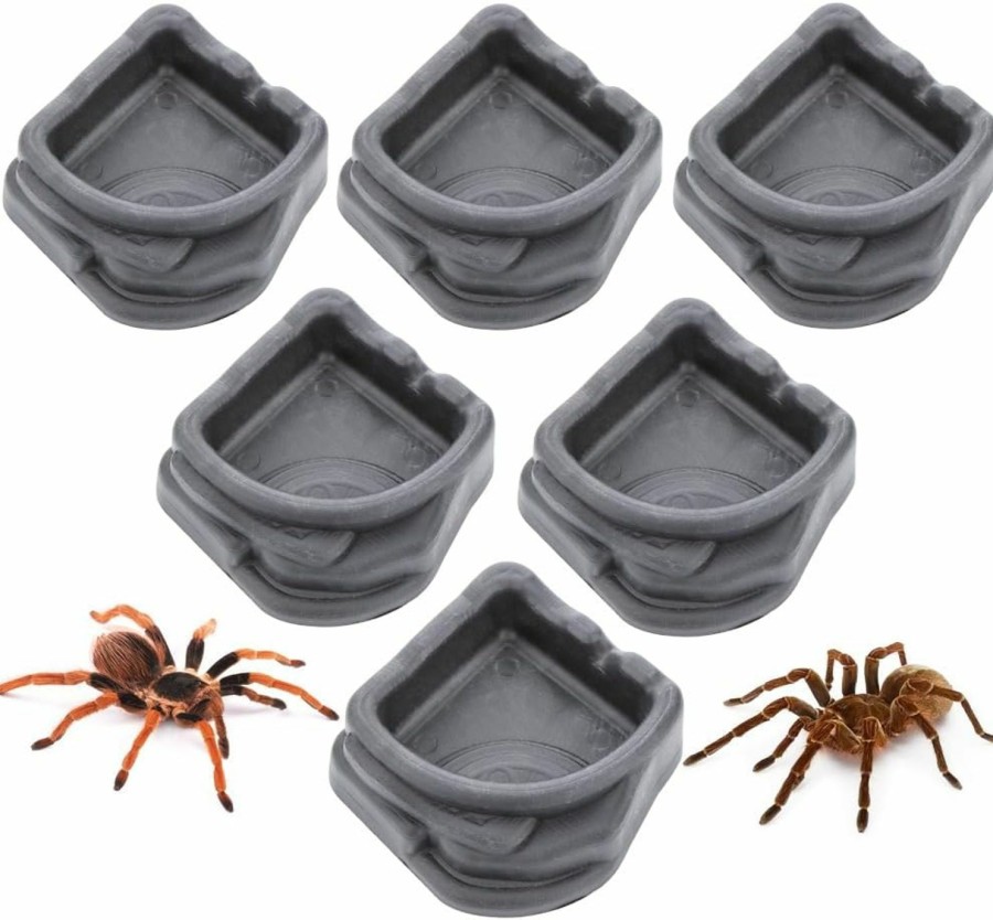 Reptiles & Amphibian DQITJ | 6 Pcs Spider Micro Water Bowl, Small Resin Dish For Tarantula Hermit Crab Spider Millipede Tiny Reptile (Medium: 1.65\" D, 0.59\" H)