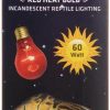 Reptiles & Amphibian Fluker's | (3 Pack) Fluker'S Red Heat Bulbs For Reptiles 60 Watt