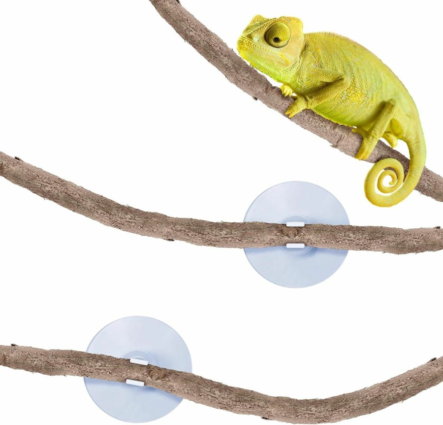 Reptiles & Amphibian SunGrow | Sungrow Reptile And Amphibians Vine, 6 Feet, Twistable, Bendable Branch, 5 Suction Cups Included