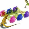 Reptiles & Amphibian Chordobe | Chordobe 3Pcs Reptile Enrichment Toy - Feed Toys For Bearded Dragon & Lizard Gecko - Small Animals Toys Reptile Tank Decor