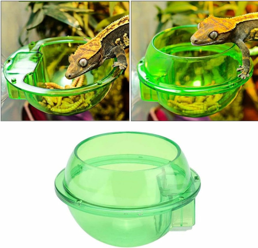 Reptiles & Amphibian HEEPDD | Reptile Feeder, Anti Escape Feeder Cups Transparent Worm Live Fodder Container For Lizard Gecko