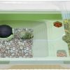 Reptiles & Amphibian kathson | Kathson Turtle Tank Aquarium With Transparent Raised Side, Small Turtle Terrarium Plastic Reptile Feeding Box With Basking Platform Tortoise Habitat Suitable For Frogs Hermit Crabs Small Reptiles