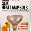 Reptiles & Amphibian Little Giant | Little Giant Bulb For Brooder Lamp | Heat Lamp | 6000 Hour Life | 250 Watt | Clear Bulb