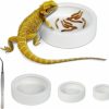 Reptiles & Amphibian WUHOSTAM | Wuhostam Ceramic Reptile Food And Water Bowl Set Of 3,Mini Reptile Feeding Dish,Worm Dish For Lizard Anoles Bearded Dragons(With Tweezer)