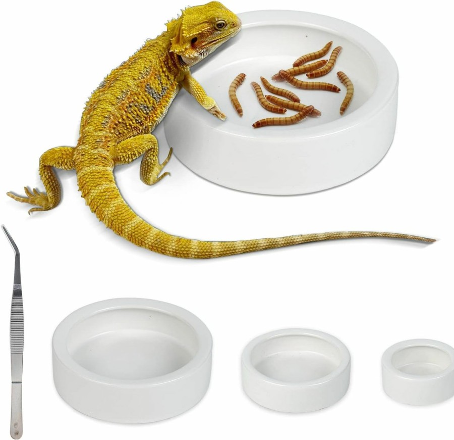 Reptiles & Amphibian WUHOSTAM | Wuhostam Ceramic Reptile Food And Water Bowl Set Of 3,Mini Reptile Feeding Dish,Worm Dish For Lizard Anoles Bearded Dragons(With Tweezer)