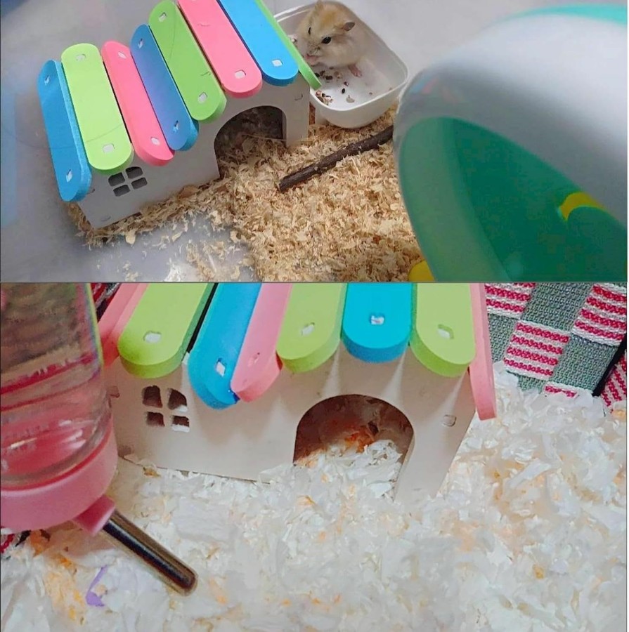 Reptiles & Amphibian Hamiledyi | Hamster Platform Toy Climbing Ladder Rat Resting Platform Set Hideout Hut Cage Accessories With Swing For Small Animal Dwarf Hamster Mouse Gerbil.