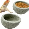 Reptiles & Amphibian Hamiledyi | Reptile Food Bowl Terrarium Water Dish Resin Rock Feeder Bowl Rock Feeder Tank Decor For Pet Tortoise Lizard Frog Gecko Chameleon 2 Pcs