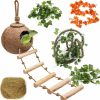 Reptiles & Amphibian HERCOCCI | Hercocci Leopard Gecko Tank Accessories, Coconut Shell Ladder Hideout Hole Reptile Climbing Vine Habitat Decor With 3 Pieces Colorful Plastic Plants For Chameleon Lizard Snake Hermit Crab