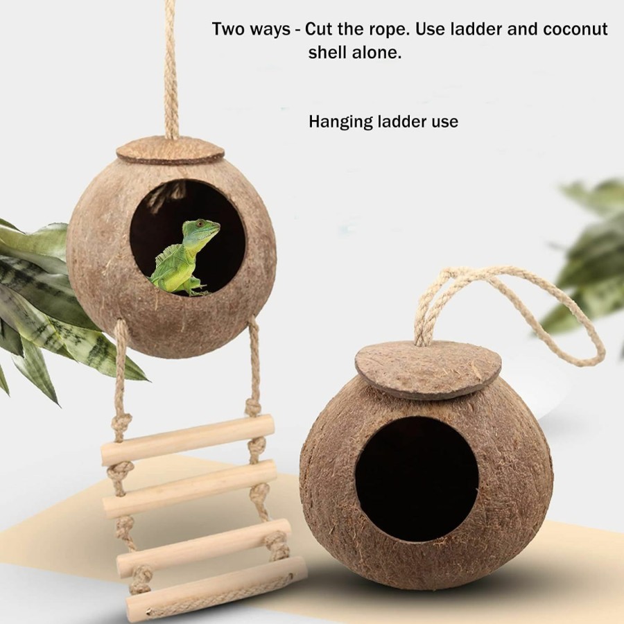 Reptiles & Amphibian HERCOCCI | Hercocci Leopard Gecko Tank Accessories, Coconut Shell Ladder Hideout Hole Reptile Climbing Vine Habitat Decor With 3 Pieces Colorful Plastic Plants For Chameleon Lizard Snake Hermit Crab