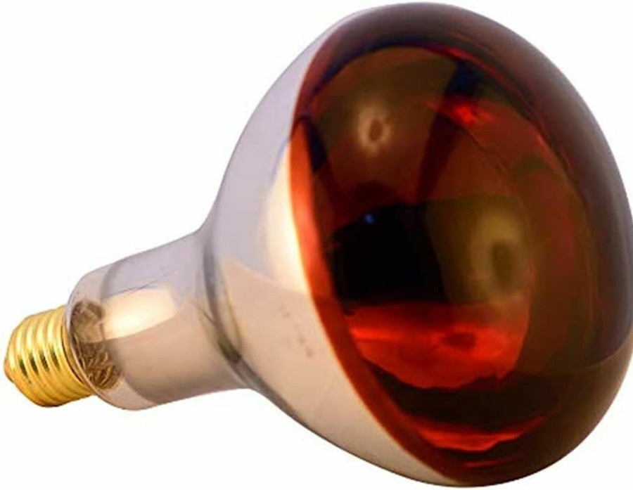 Reptiles & Amphibian BONGBADA | Bongbada 6 Pack Heat Lamp Bulb R115 175 Watt Infrared Glass Lamp Bulb For Food Service, Brooder Bulb, Chicks, Pet, Bathroom, Light Therapy, Reptiles And Amphibian Use E26 Base