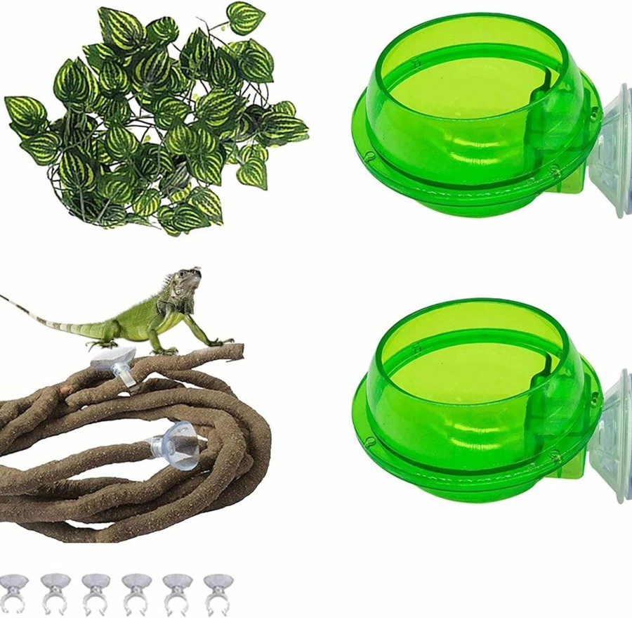 Reptiles & Amphibian PINVNBY | Pinvnby Reptile Suction Cup Feeder,Chameleon Feeding Food Bowl,Translucent Anti Escape Worm Live Fodder Container,Pet Ledge Water Dish Supplies For Lizard Gecko Bearded Dragon(4 Pcs)