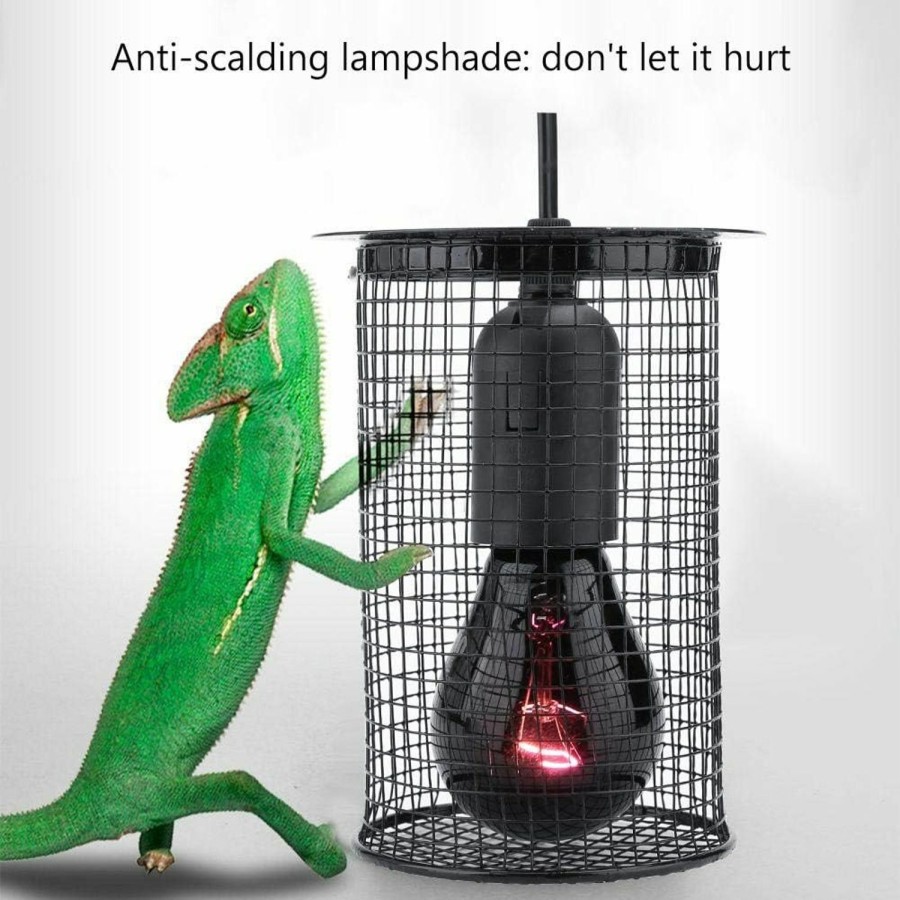 Reptiles & Amphibian Tnfeeon | Tnfeeon Amphibians Anti Scald Protector Lamp Covers For Heating Light Reptile Heater Guard Heating Bulb Lamp Enclosure Cage Metal Protector