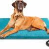 Reptiles & Amphibian clawsable | Clawsable Super Large Size Pet Heating Pad Electric Heating Pad For Dogs, Waterproof Dog Cat Heated Bed Pad, Adjustable Warming Mat With 6 Temperature & 5 Timers Set Auto Off Anti-Chew Cord