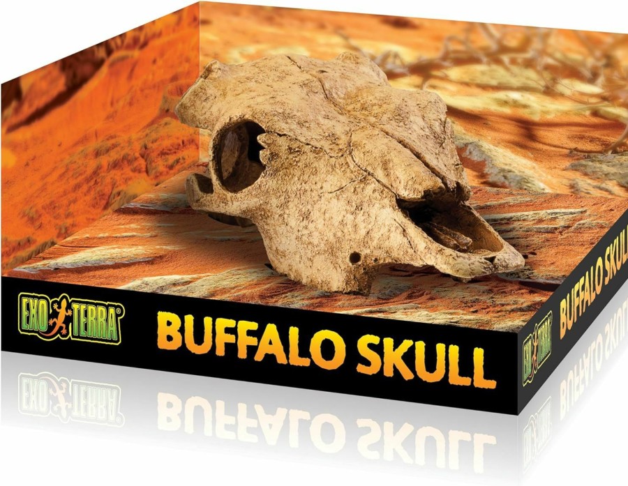 Reptiles & Amphibian Exo Terra | Exo Terra Terrarium Decor Buffalo Skull