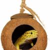 Reptiles & Amphibian SunGrow | Sungrow Leopard Gecko Coco Hut, Gecko Climbing Accessories, Raw Coconut Shell Reptile Hide, Terrarium Habitat Decor, 2.5" Opening Diameter, With Fiber Loop For Hanging (1-Hole)