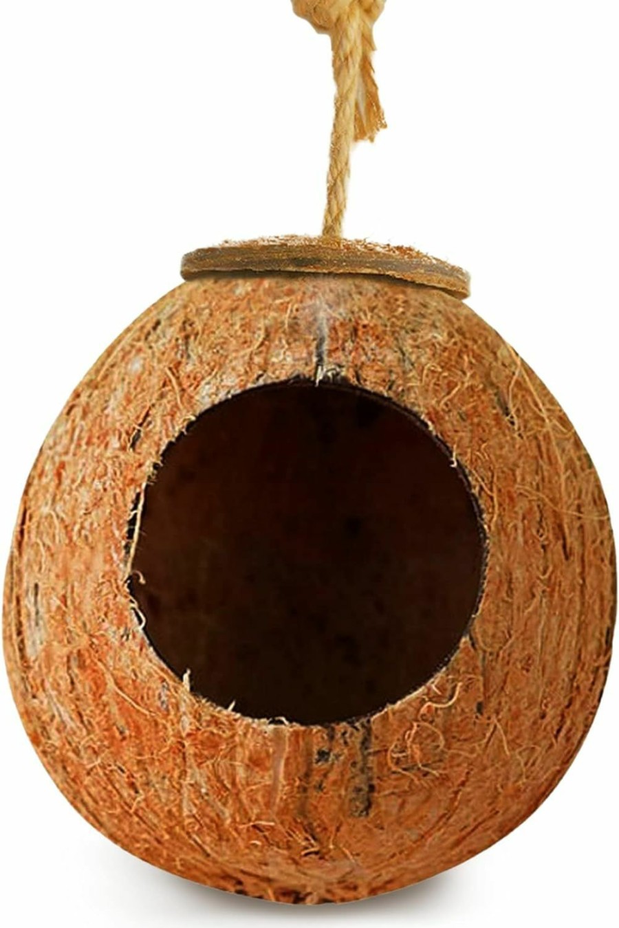 Reptiles & Amphibian SunGrow | Sungrow Leopard Gecko Coco Hut, Gecko Climbing Accessories, Raw Coconut Shell Reptile Hide, Terrarium Habitat Decor, 2.5" Opening Diameter, With Fiber Loop For Hanging (1-Hole)