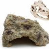 Reptiles & Amphibian Anxingo | Anxingo Reptile Rock Reptile Cave Hideout For Snakes/Geckos/Lizards/Turtles And Other Amphibians, With Dinosaur Skull (Middle)