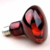 Reptiles & Amphibian Fengrun | Fengrun Infrared Lamp 120V~150W Therapy Bulb, Red Hard Glass, Waterproof Explosion-Proof For Physiotherapy