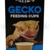 Reptiles & Amphibian Pangea | Pangea Small Gecko Food & Water Cups 100 Ct