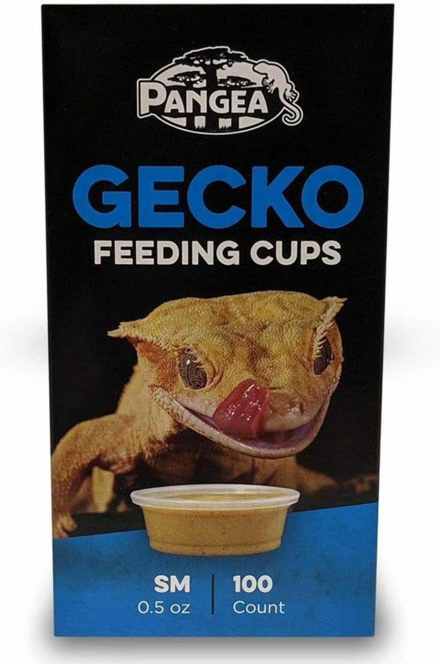 Reptiles & Amphibian Pangea | Pangea Small Gecko Food & Water Cups 100 Ct