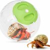 Reptiles & Amphibian U0U | U0U Hermit Crab Running Ball Toy,Small Hermit Crab Accessories,Hermit Crab Cage,Suitable For Hermit Crab And Hamster Rat (Green)