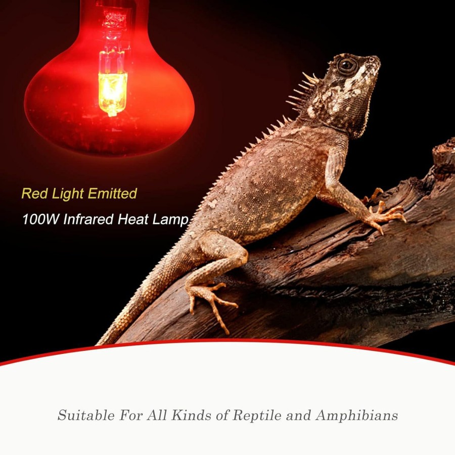 Reptiles & Amphibian WUHOSTAM | Wuhostam 100W Infrared Reptile Heat Lamp Bulb, Uva Basking Spot Red Light Glass Heat Bulbs For Reptiles And Amphibian Use, Bearded Dragon, Turtle, Gecko, Snake, Lizard, Chameleon - 2 Pack