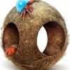 Reptiles & Amphibian SunGrow | Sungrow Hermit Crab Hut Cozy Crabitat Coconut Shell With Hanging Loop And Climbing Accessory