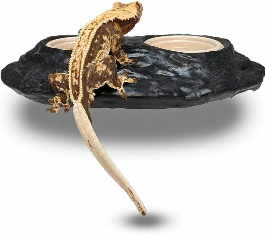 Reptiles & Amphibian Pangea | Pangea Ultimate Gecko Ledge - Magnetic Gecko Diet Feeder