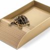 Reptiles & Amphibian Hacaroa | Hacaroa 3 Pcs Tortoise Water Dish With Ramp And Basking Platform, Reptile Food Dish Turtle Water Bowl, Reptile Bathing Pool Amphibians Habitat Accessories For Lizard, Box Turtle, Horned Frog