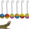 Reptiles & Amphibian Koomduk | Koomduk 6 Pack Bearded Dragon Toys, Accessories, Balls Bell,Fit For Lizard Small Reptile Habitat Terrarium Tank