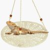 Reptiles & Amphibian KALIONE | Kalione Lizard Hammock Pack, Bearded Dragon Hammock, Lizard Swing Toy, Bearded Dragon Carrier, Bearded Dragon Accessories For Habitat, Reptile Hammock For Lizard Bird Gecko Hamster Rest Play, White