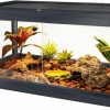 Reptiles & Amphibian PROLEE | Prolee 34 Gallon Reptile Terrarium Tank 32 Inch Lizard Tank Bearded Dragon Tank With Metal Mesh Roof Door, Snake Tank With Lock Design