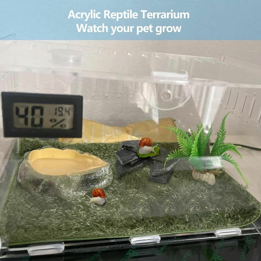 Reptiles & Amphibian Tfwadmx | Tfwadmx Reptile Terrarium Acrylic Small Reptile Tank 9.8\"X5.9\"X5.9\" Spider Enclosure With Temperature Hygrometer Feeding Box Micro Amphibian Habitat Breeding Box For Snails Snakes Mantis Insects