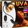 Reptiles & Amphibian Briignite | Briignite G9 Heat Lamp Bulbs For Reptile, Mini Reptile Light, Dimmable G9 Mini Heat Bulb Warm White 50W, 2 Pin Base Uva Reptile Heat Lamp, Bearded Dragon Gecko Turtle Lizard, 2 Pack