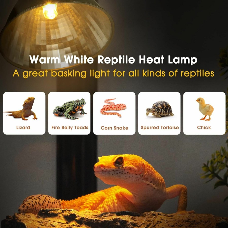 Reptiles & Amphibian Briignite | Briignite G9 Heat Lamp Bulbs For Reptile, Mini Reptile Light, Dimmable G9 Mini Heat Bulb Warm White 50W, 2 Pin Base Uva Reptile Heat Lamp, Bearded Dragon Gecko Turtle Lizard, 2 Pack