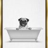 Reptiles & Amphibian Stupell Industries | Stupell Industries Pug Dog In Tub Bathroom Pet Framed Floater Canvas Wall Art, Design By Annalisa Latella