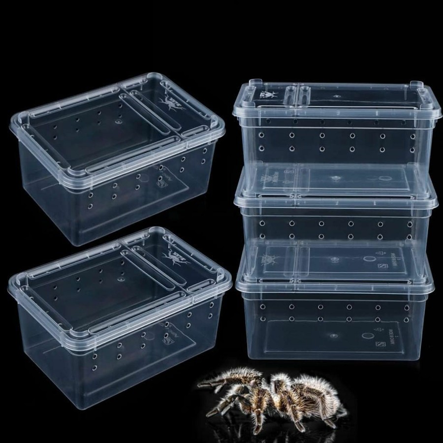 Reptiles & Amphibian DQITJ | 5 Pcs Spider Small Terrariums Breeding Box Transparent Hatching Container Plastic Feeding Box For Small Reptile Spider Scorpion Centipede Insect