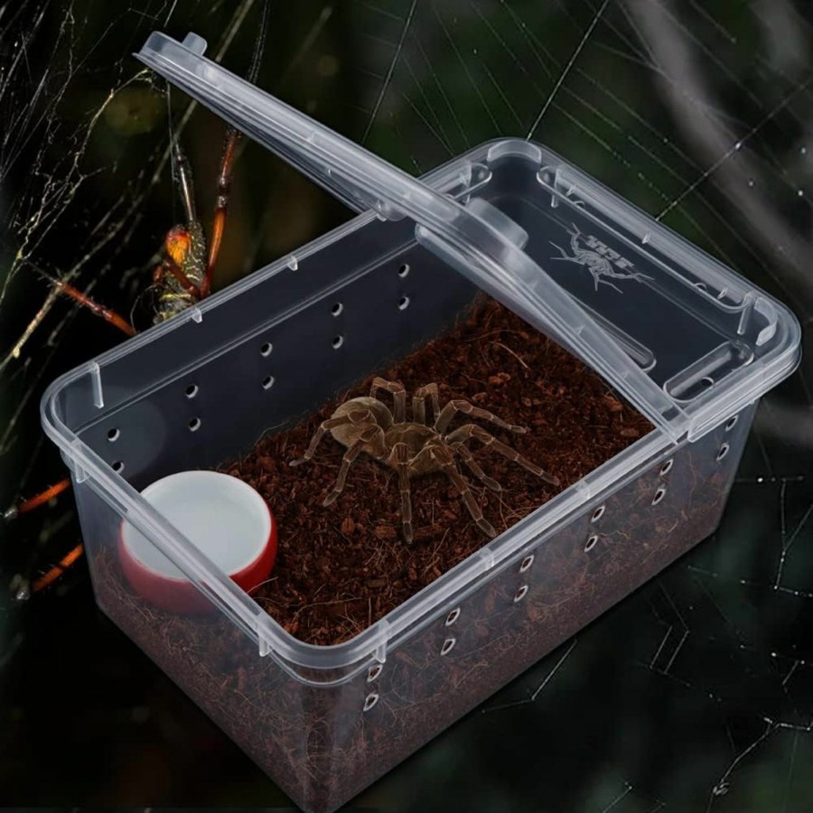 Reptiles & Amphibian DQITJ | 5 Pcs Spider Small Terrariums Breeding Box Transparent Hatching Container Plastic Feeding Box For Small Reptile Spider Scorpion Centipede Insect