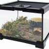 Reptiles & Amphibian Hamiledyi | Hamiledyi Small Reptile Tank Glass Amphibian Terrarium 7.9 X7.9 X5.7 In Transparent Hermit Crab Cage Micro Habitat Full View Visually Appealing Enclosure For Lizard Gecko Frog Spider Tortoise